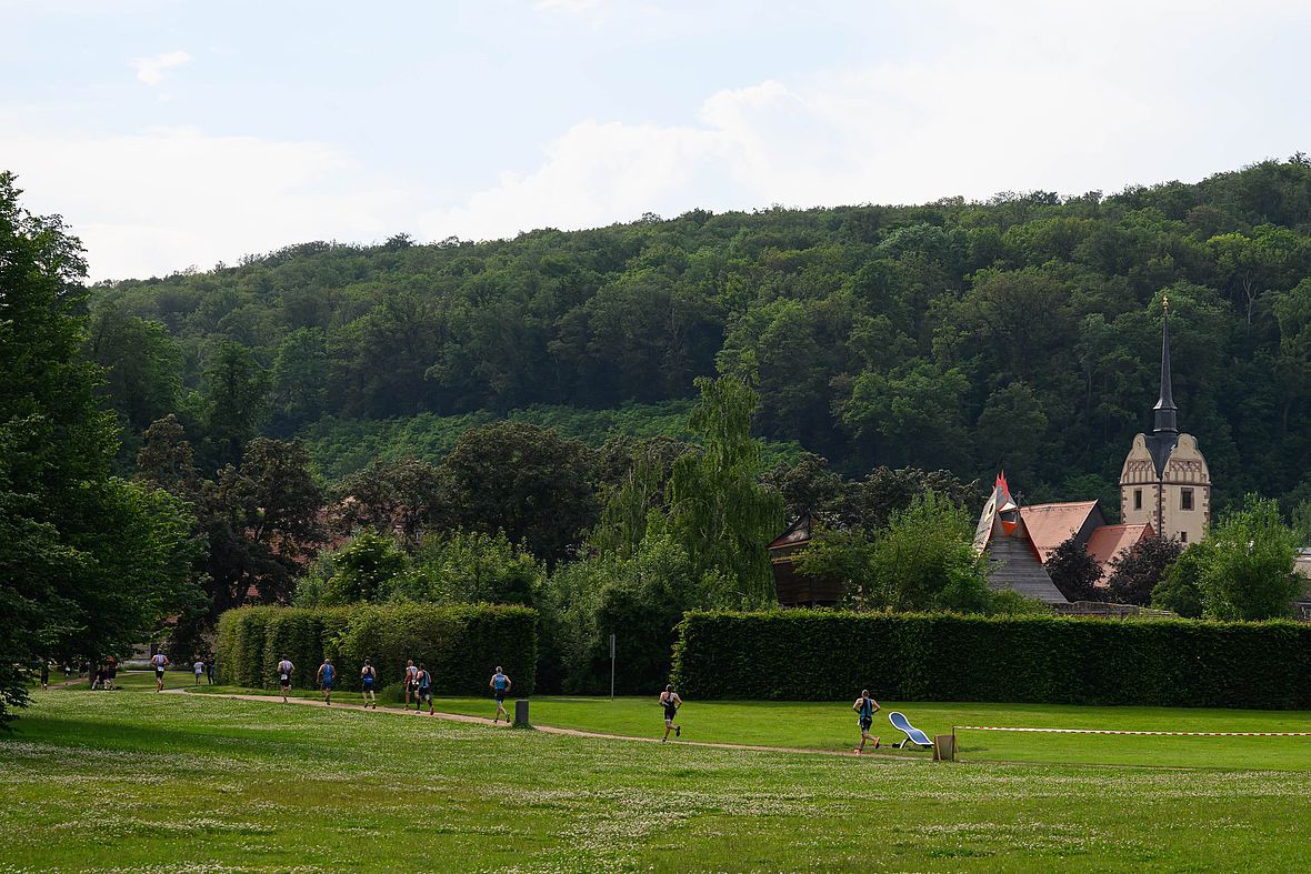 An der Perlenschnur aufgezogen: Die Läufer und Läuferinnen auf der Laufstrecke durch den Hofwiesenpark