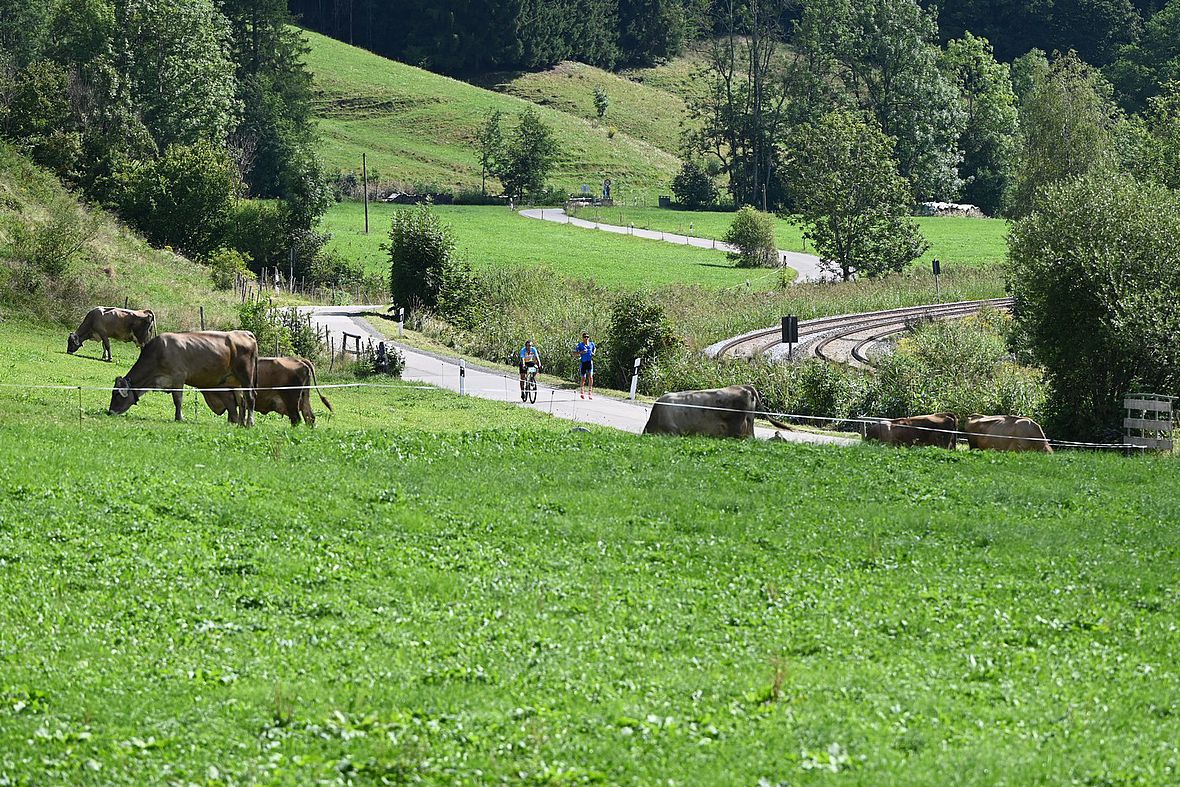 Allein auf weiter Flur: Leader Thomas Ott auf der Laufstrecke