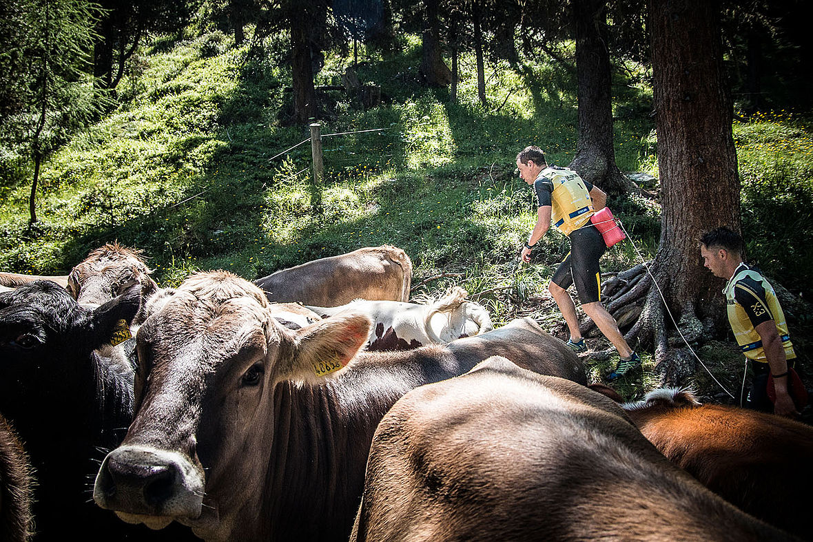 Impressionen vom ÖTILLÖ Swimrun Engadin 2015