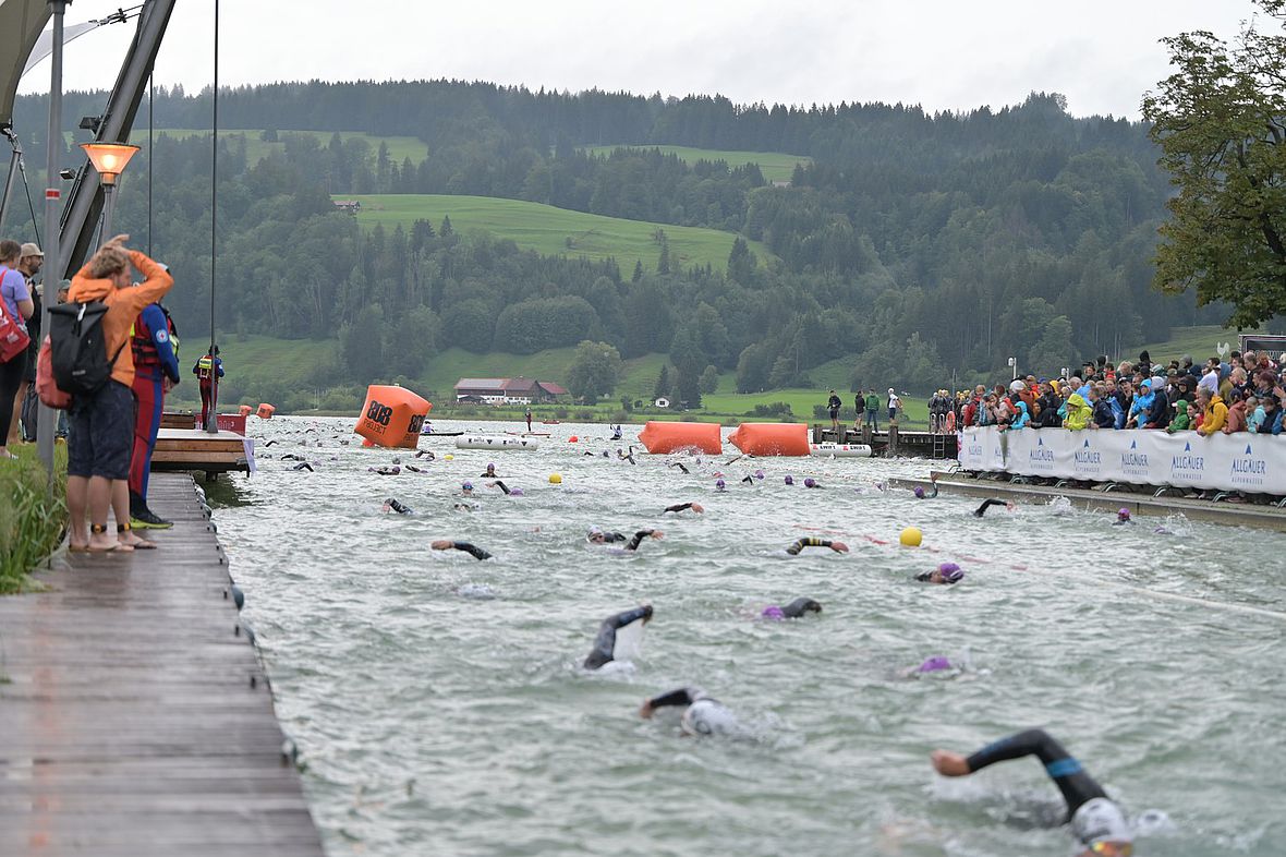 Rush-Hour im Hafenkanal von Bühl