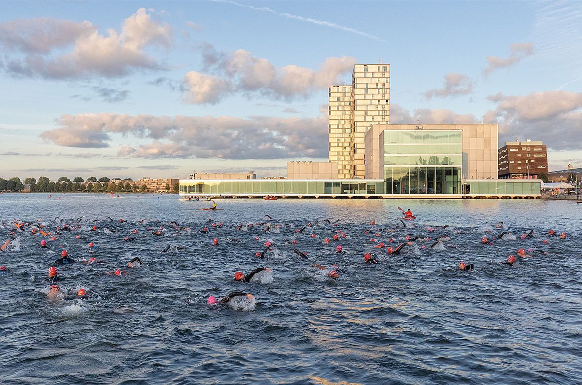 Der Schwimmkurs im Weerwater von Almere