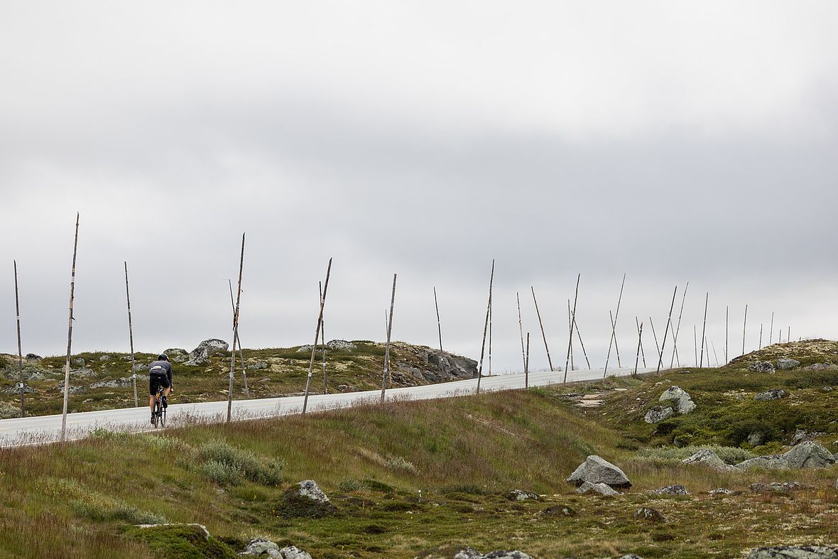 Die Hardangervidda Hochebene