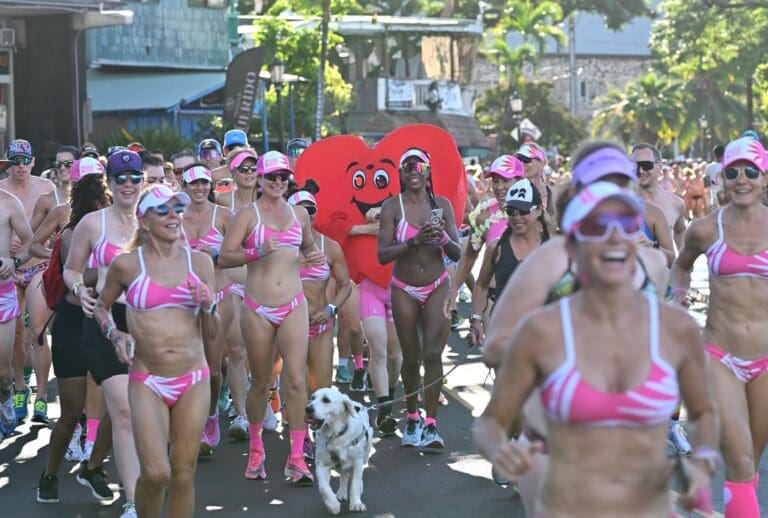 Pink Ladies