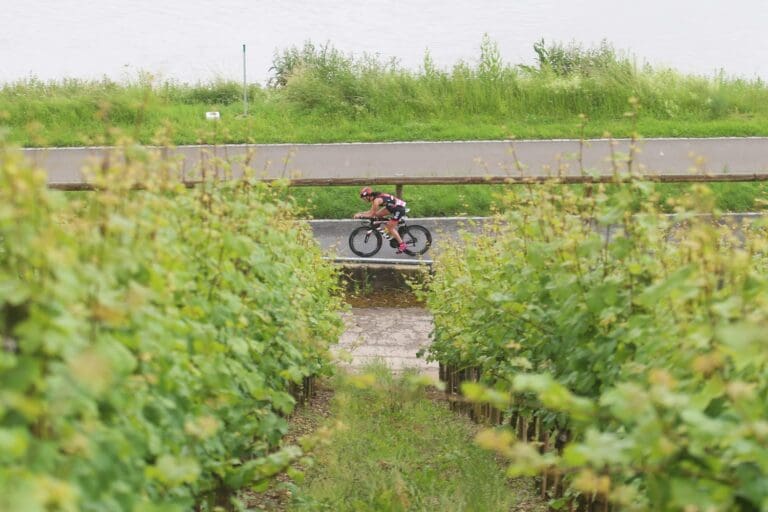 Entlang der Mosel-Weinberge