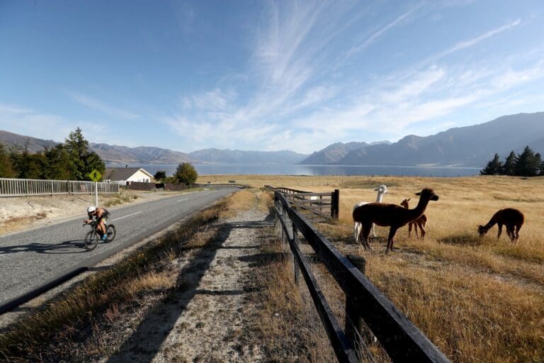 Tierischer Beistand auf der Radstrecke der Challenge Wanaka