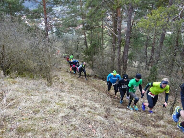 Eine der Schlüsselstellen der Wuidsau-Jagd: Der Heartbreak Hill im Wald oberhalb von Dietldorf