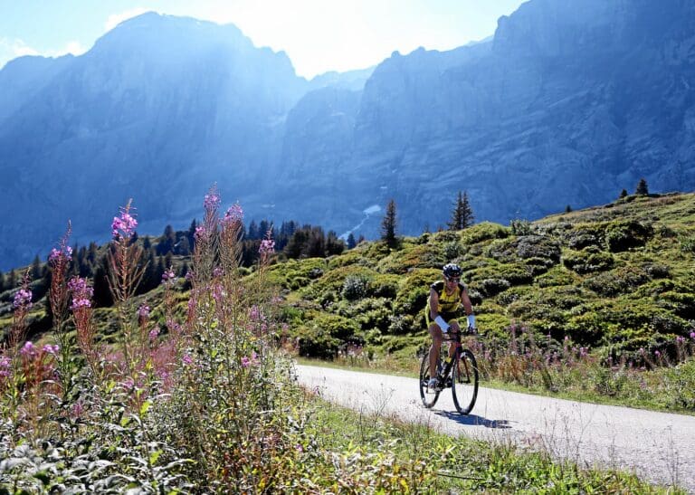 Kurz unter der Passhöhe der Großen Scheidegg