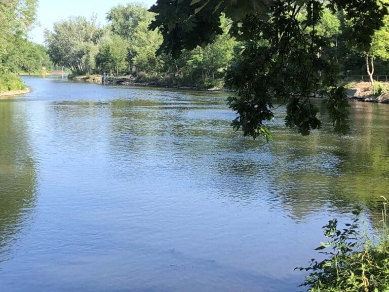 Schwimmstart der Pros am Langener Waldsee - es war Schwimmen im Speedsuit angesagt