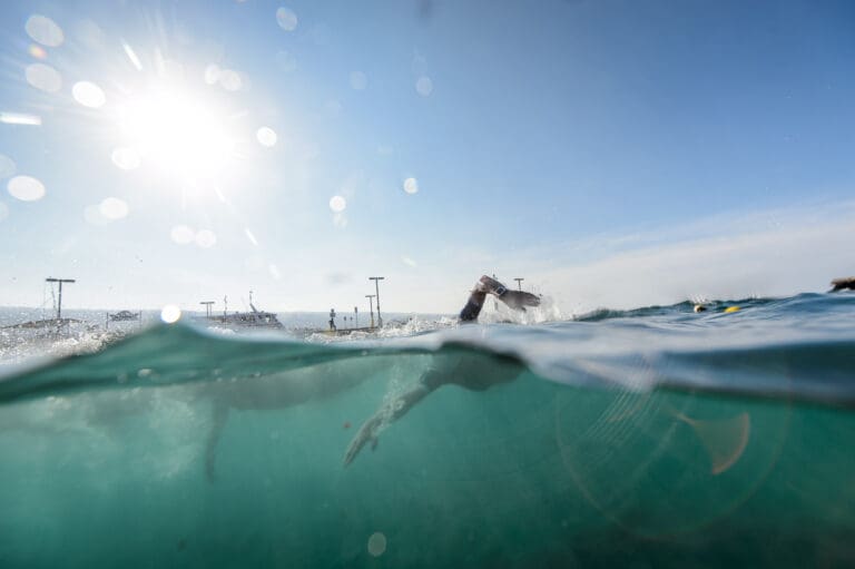 Die Sonne steht kurz nach 8 Uhr schon relativ hoch über der Bucht von Kailua-Kona. Heute kann die Hitze den Athleten erstmal egal sein. Nach dem Schwimmen wartete im Garden des King Kamehameha Beach Hotels gleich das Finisher-Buffet