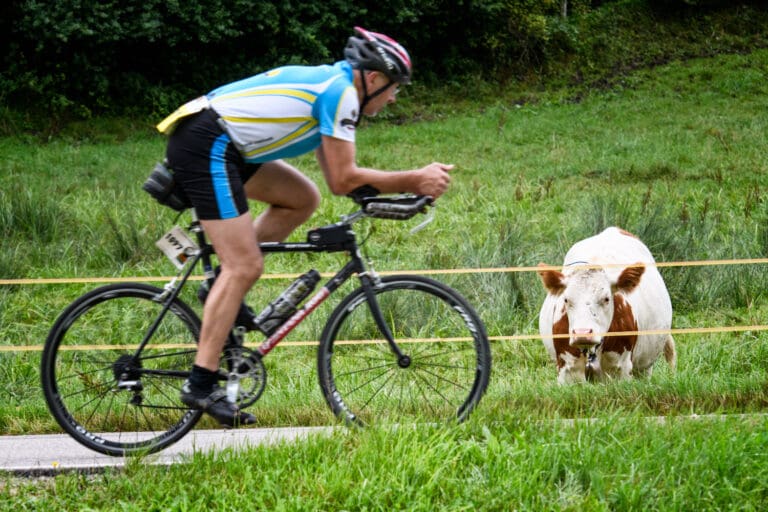 CowMan: Beim Allgäu Triathlon war auch diesmal tierischer Zuspruch sicher.