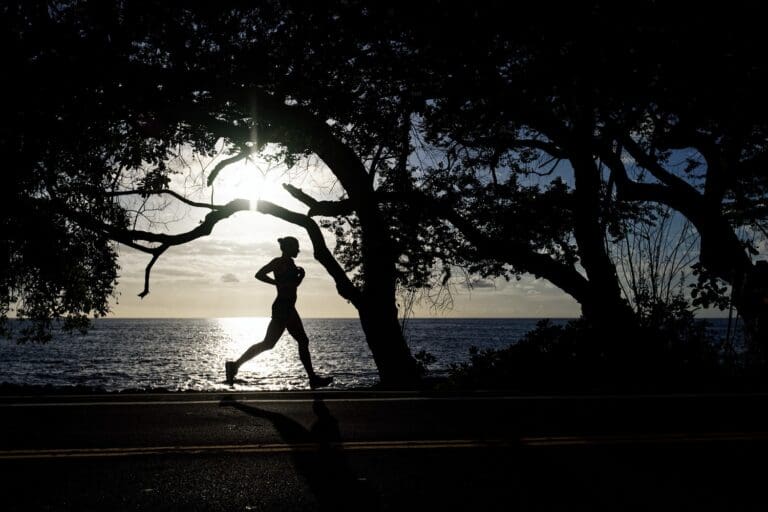 2019 Vega IRONMAN World Championship